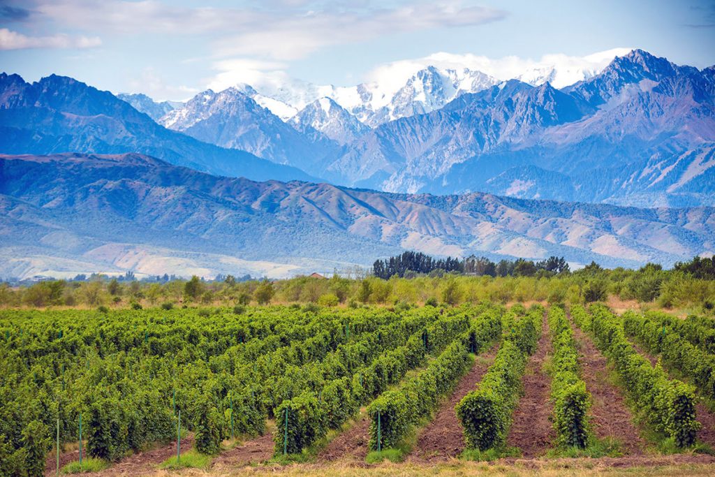 Mendoza Tours Argentina